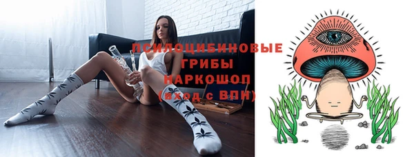 кокс Баксан